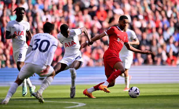 感生活的态 感生活的态